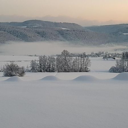 Apartmán Hochsalerblick Laufenburg Exteriér fotografie