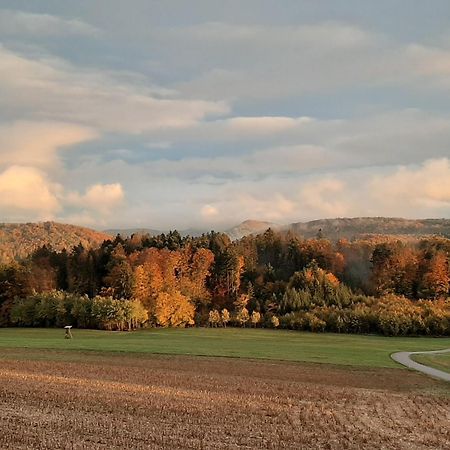 Apartmán Hochsalerblick Laufenburg Exteriér fotografie