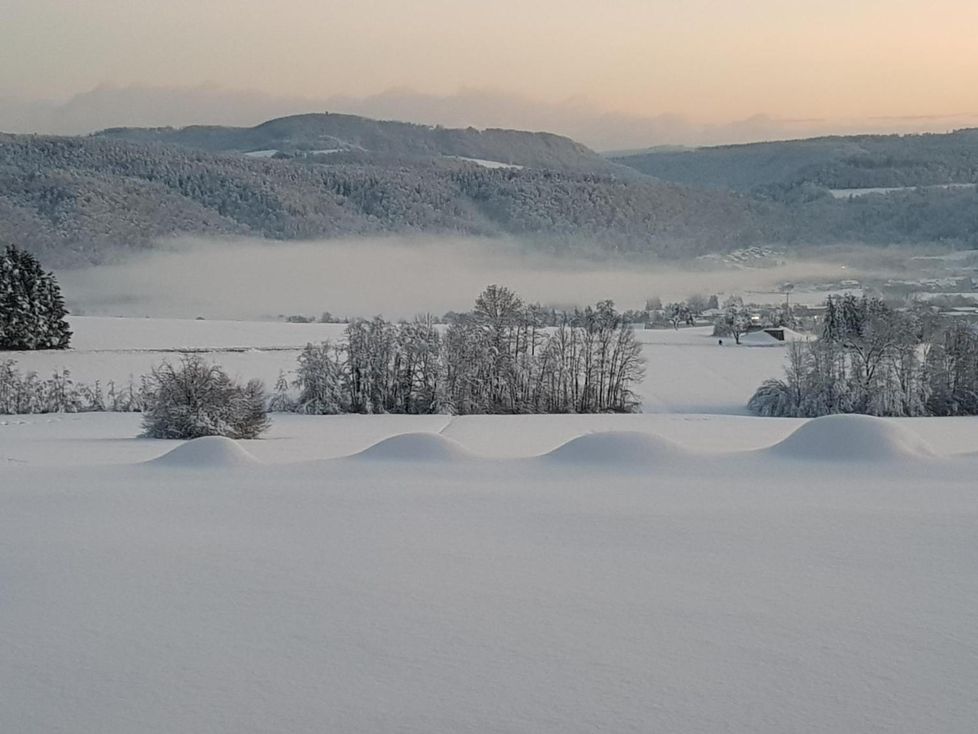 Apartmán Hochsalerblick Laufenburg Exteriér fotografie