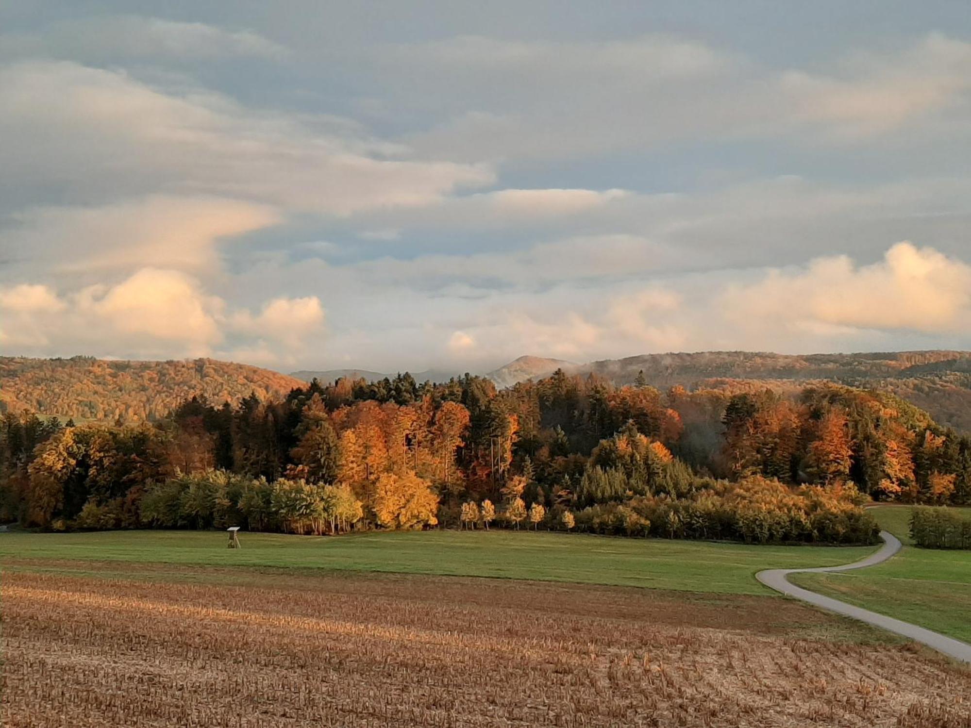 Apartmán Hochsalerblick Laufenburg Exteriér fotografie